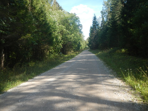 DSCN7292
