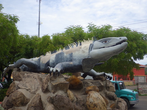 RIMG5358