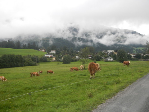 DSCN0886