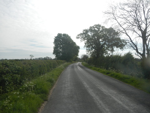 DSCN4723