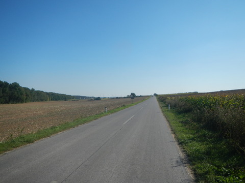 DSCN1963