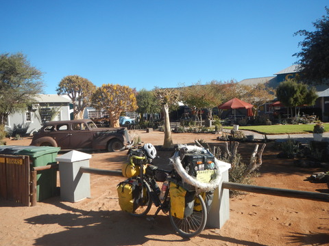 DSCN5524