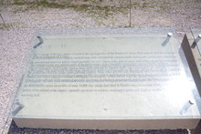 IMGP9713