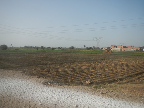 DSCN9592