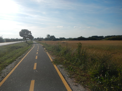 DSCN2267
