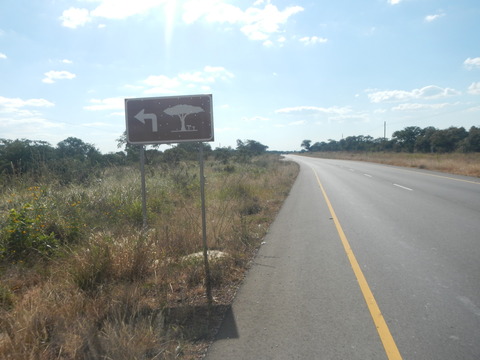DSCN4307