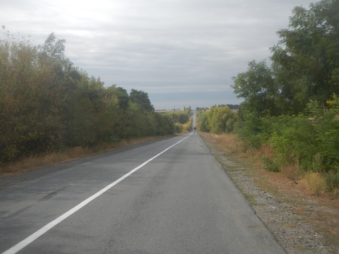 DSCN8007