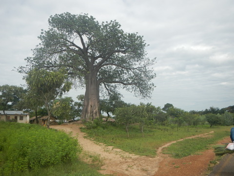 DSCN3995