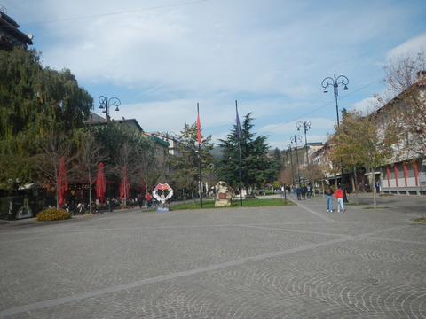DSCN3493