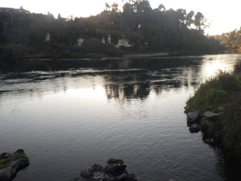RIMG6763