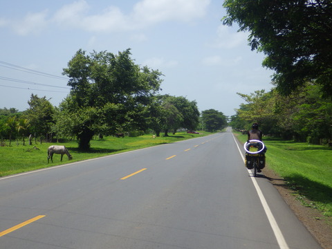 RIMG5582