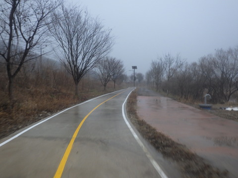 RIMG7353