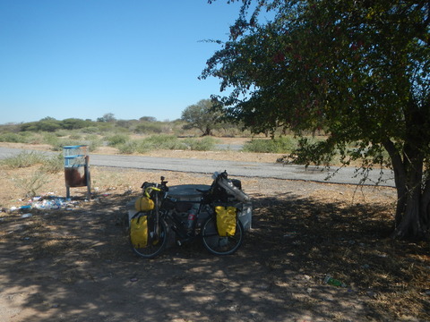 DSCN4781