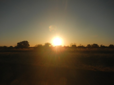 DSCN4791