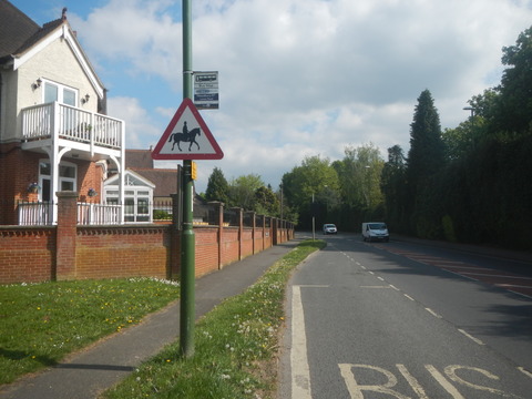 DSCN4588