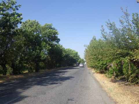 RIMG2944