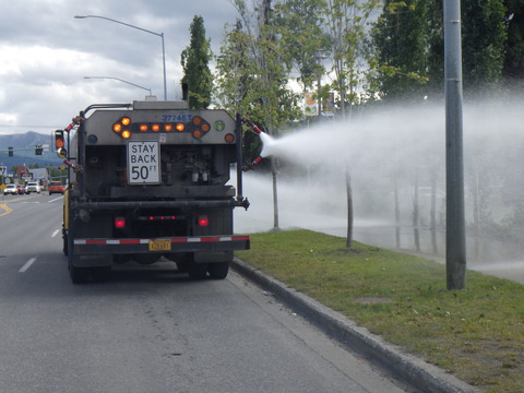 RIMG7102