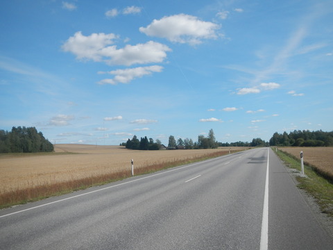 DSCN7310