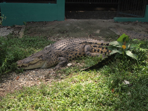 P8140502