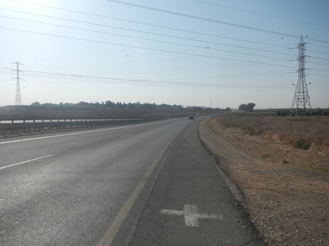DSCN8958