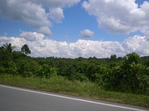 RIMG0082