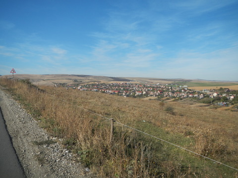 DSCN8373