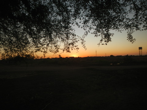 DSCN0076
