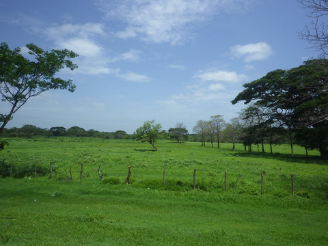 RIMG5584