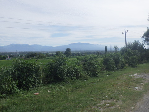 RIMG6521