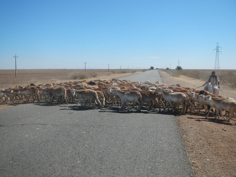 DSCN0083