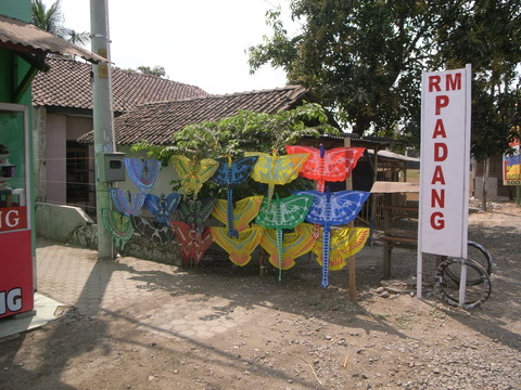 RIMG0116
