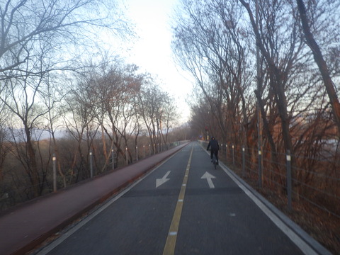 RIMG7335