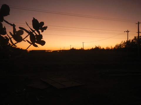 DSCN0063