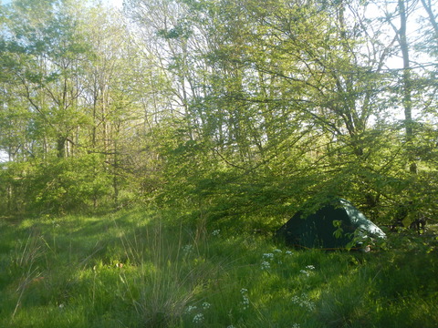 DSCN5098