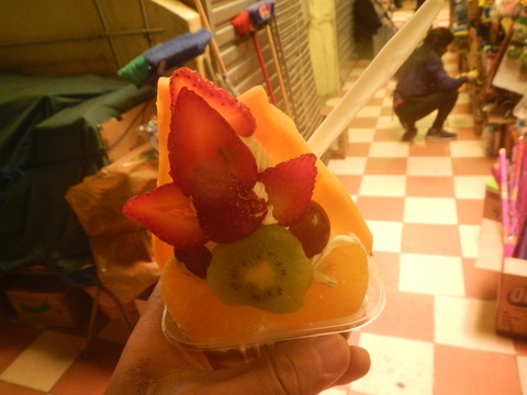 DSCN2308