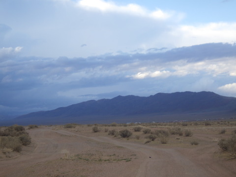 RIMG4849
