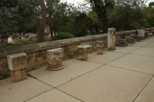 IMGP9486
