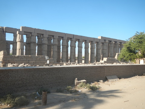 DSCN9726