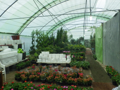 RIMG1825