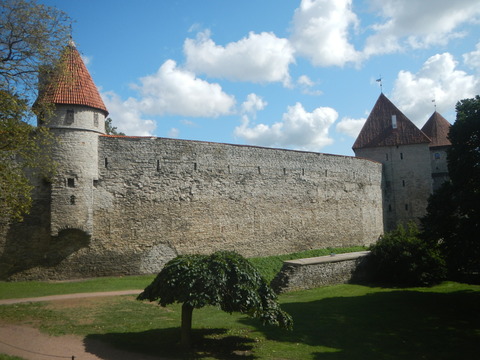 DSCN7252