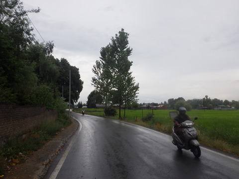 RIMG5329
