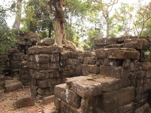P3110691