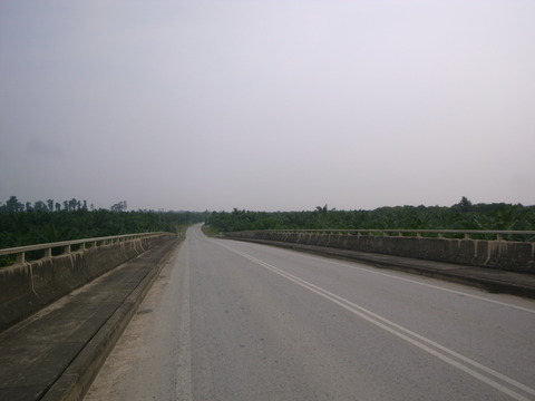 RIMG0037