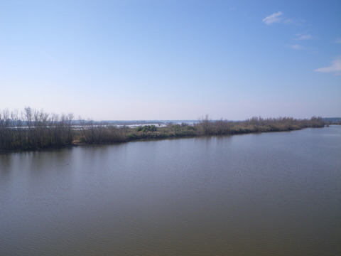 IMGP3224