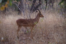 IMGP9068