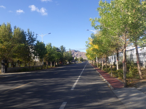 RIMG4627