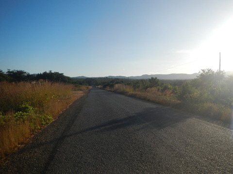 DSCN4208