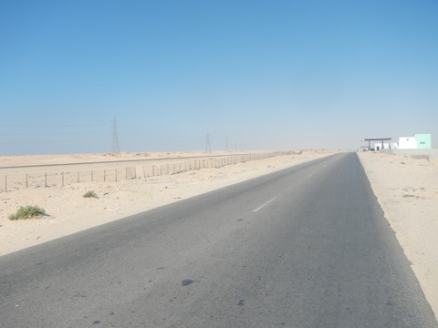 DSCN1175