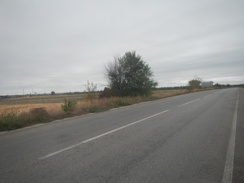 DSCN7987