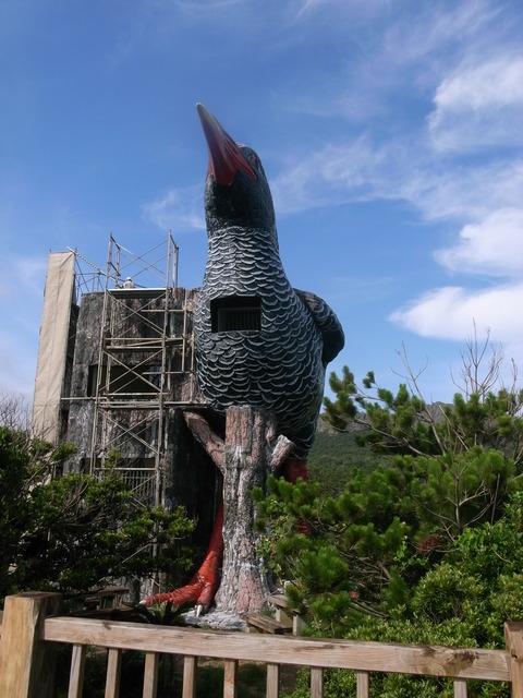 RIMG0011